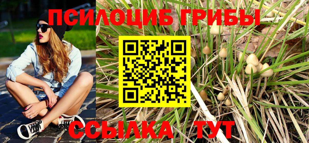 Псилоцибиновые грибы ЛСД Старый Оскол