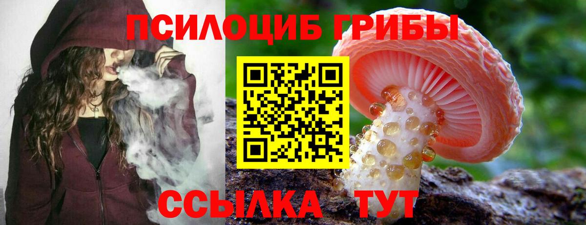 Старый Оскол  купить наркотики цена  Вход с VPN  Псилоцибиновые грибы MAGIC MUSHROOMS 